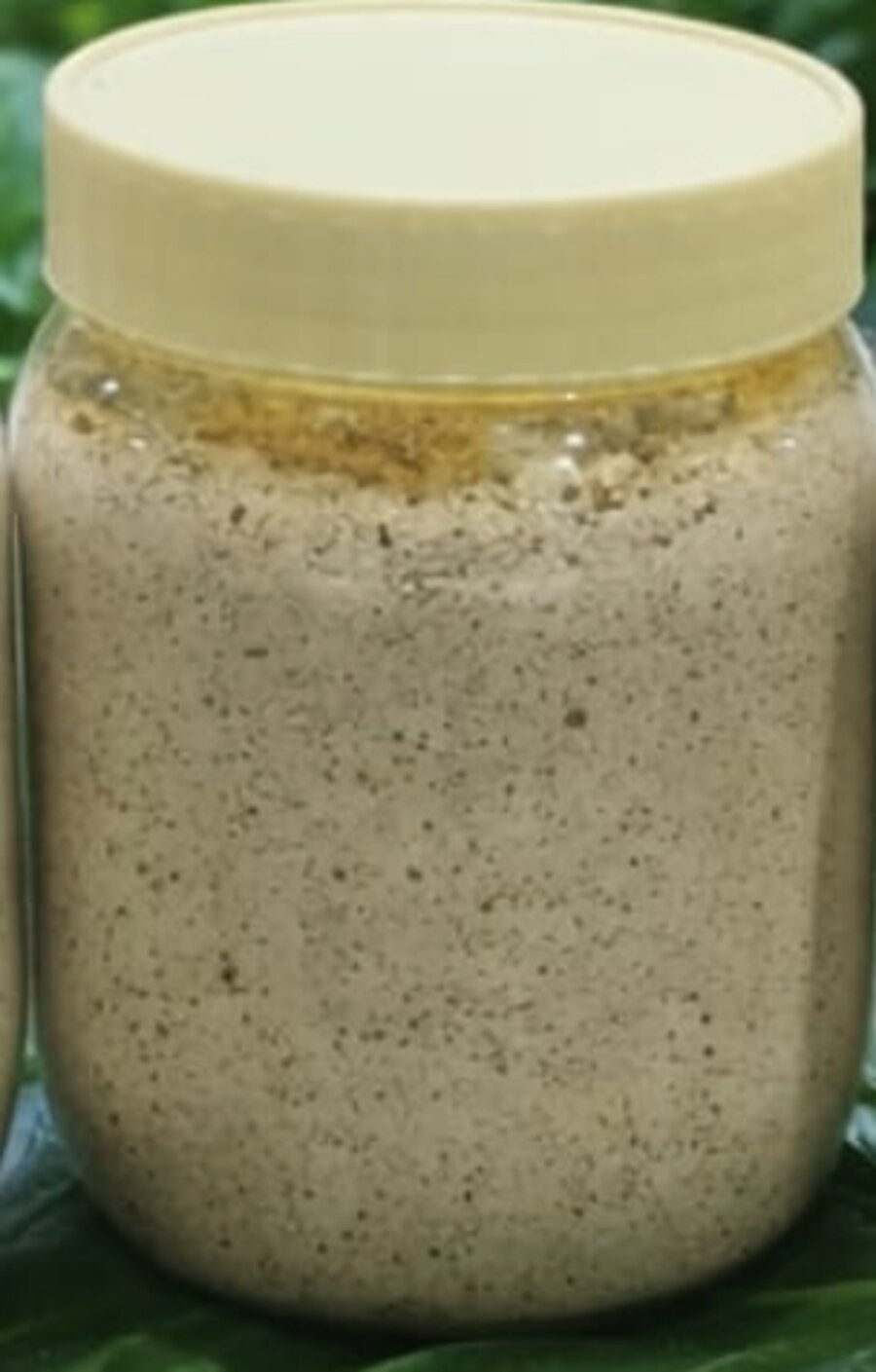 Protein Powder jar